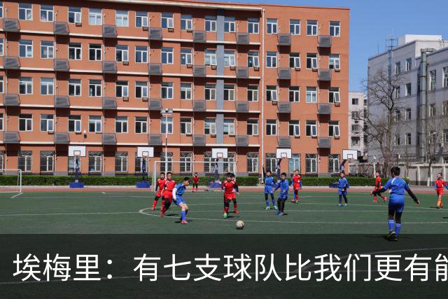 埃梅里：有七支球队比我们更有能力