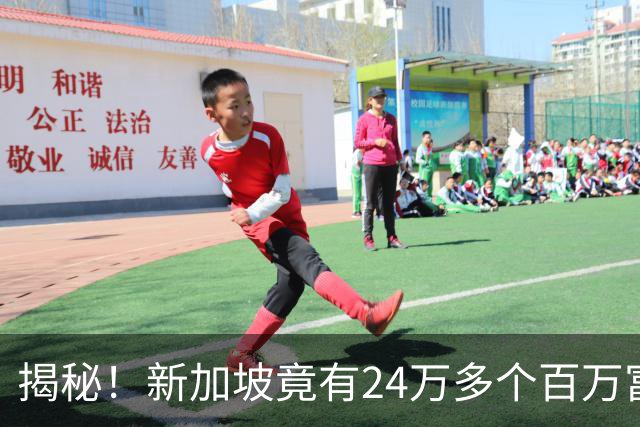 揭秘！新加坡竟有24万多个百万富翁！为什么你买份鸡饭，还要犹豫半天？
